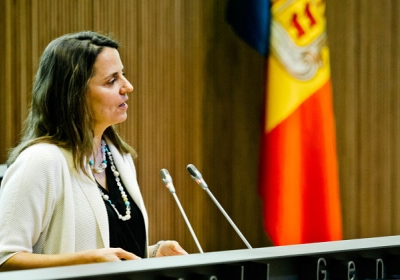 Gili, durant una sessió de Consell General (E.Comellas / CG).