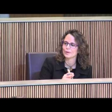 Sessió de Consell - Pregunta sobre les avaries a Andorra Telecom